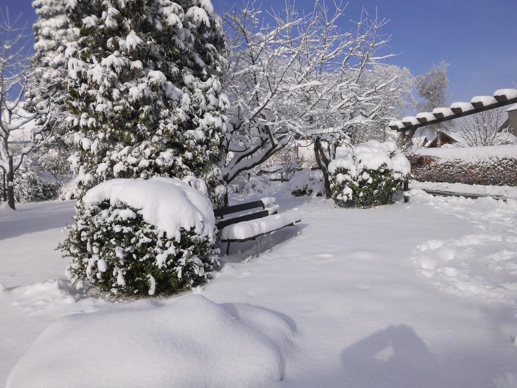 Apartment In Langewiese Sauerland With Garden Winterberg Exteriér fotografie